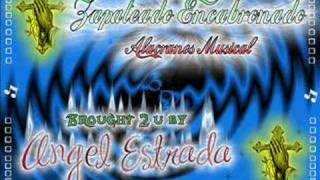 Zapateado EncabronadoAlacranes Musical [upl. by Ladnik71]