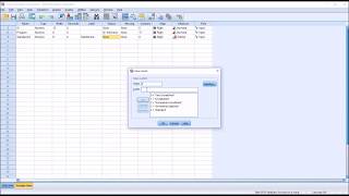 Entering Likert Scale Data into SPSS [upl. by Anemaj]