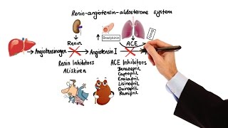 Pharmacology  HYPERTENSION amp ANTIHYPERTENSIVES MADE EASY [upl. by Ayokahs]