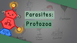 Parasites Protozoa classification structure life cycle [upl. by Sobel]