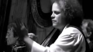 Andreas Vollenweider  Morgana Palace Live [upl. by Jorie]