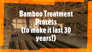 Bamboo Treatment Process for Building Construction [upl. by Ludovika]