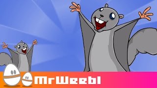 Flying Squirrels  animated music video  MrWeebl [upl. by Ardnasak]