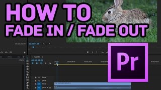 How to Fade In and Fade Out Effect in Premiere Pro CC [upl. by Forelli785]