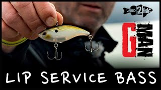 4 MONEY Lipless Crankbait Bass Tips  Swindles Winter and Prespawn System [upl. by Aicul308]