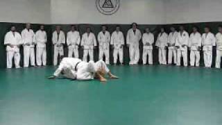 Gracie JiuJitsu Academy Reflex Development Class [upl. by Vargas430]