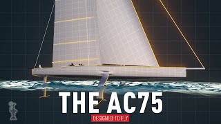 The AC75  Designed to Fly [upl. by Tellford]