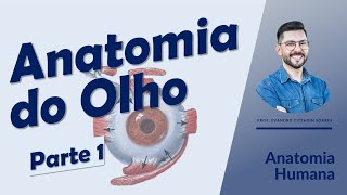 Anatomia do olho  Parte 1  Anatomia Humana  Oftalmologia [upl. by Urien132]