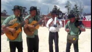 Grupo Variedades del Sur  Campesino Salsita [upl. by Nyrtak911]