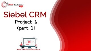 Siebel CRM  Project 1 part 1 Service Requests  Complaint Organizations FREE Course Workshop [upl. by Ahsimed]