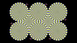 How Do Optical Illusions Work [upl. by Blasien]