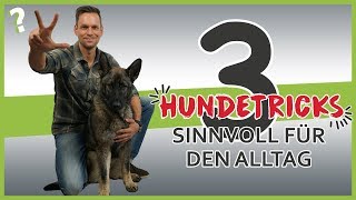 3 sinnvolle Hundetricks für den Alltag  Hundeerziehung [upl. by Omsoc]