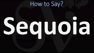 How to Pronounce Sequoia CORRECTLY [upl. by Teerell]