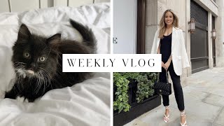 SURPRISING MY MUM WITH A KITTEN VLOG  Kate Hutchins [upl. by Alisan33]