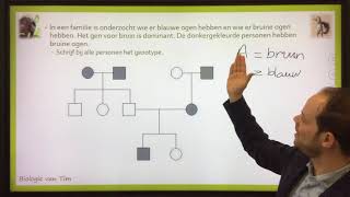 Biologie van Tim  Stambomen [upl. by Loresz]