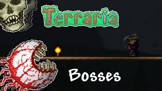 Terraria 14  The Guide to ALL Bosses [upl. by Herod]