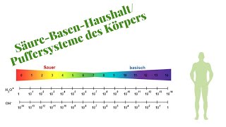 SäureBasenHaushalt Komplett erklärt für die Heilpraktikerprüfung [upl. by Altheta409]