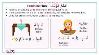 Beginners Arabic  Lesson 14  Arabic Plurals [upl. by Felice180]