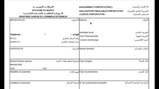 Engagement dimportation Titre d’importation PortNet [upl. by Anirres]