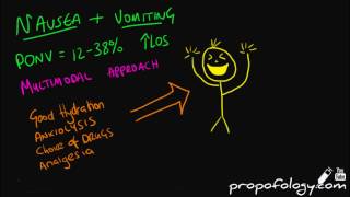 Antiemetics in 5 Minutes Pharmacology [upl. by Lundeen]