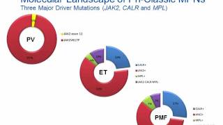 Myeloproliferative Neoplasm Hot Topic [upl. by Suki]