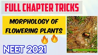 Plant Morphology Full Chapter Tricks  Neet Possible Tricks Series  Target Neet [upl. by Allwein]