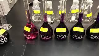 Adsorption Experiment Lab 5 [upl. by Aldred]