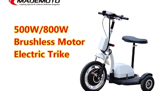 500W Brushless Strong Zappy Electric Scooter ES5013 [upl. by Pietra313]