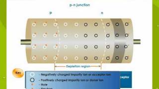 pnJuctionAndDiodes [upl. by Akiram]