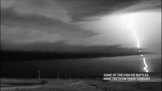 Incredible Slow Motion Lightning Strike 1 sec  3 min [upl. by Eiboh709]