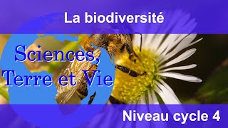 La biodiversité [upl. by Edris441]