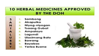 10 HERBAL MEDICINES APPROVED BY THE DOH [upl. by Haerdna]