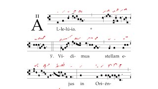 Alleluia Vidimus stellam [upl. by Aseena]