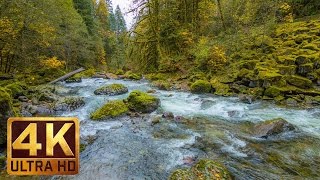 Beautiful Nature Video in 4K Ultra HD  Autumn River Sounds  5 Hours Long [upl. by Henryk28]