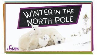 Winter at the North Pole  Winter Science  SciShow Kids [upl. by Dnomal822]