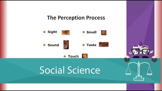 The Perception Process Screencast [upl. by Charie]