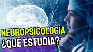 ¿QUE ES LA NEUROPSICOLOGIA bien explicado 🧠✅  neurociencias en psicologia [upl. by Anawk680]