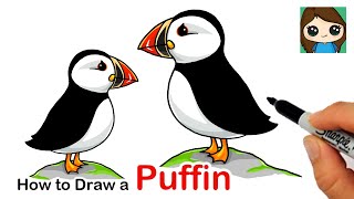 How to Draw a Puffin Bird [upl. by Tisbee]