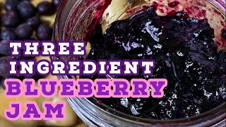 THREE INGREDIENT Blueberry Jam  The BEST HOMEMADE Blueberry Jam  Angela’s Green Cuisine [upl. by Wein]