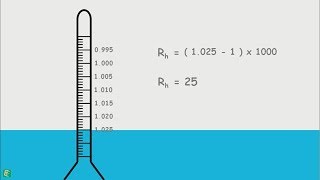 Hydrometer Analysis  Sedimentation Analysis [upl. by Hartill928]