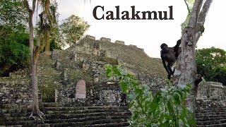 Calakmul ruins Campeche Mexico [upl. by Fatima]