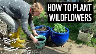 How to Plant Wildflowers  Save the Bees  Sustainability Tips  WWF [upl. by Airdnax506]