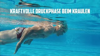 Kraftvolle Druckphase beim Kraulen Schneller Schwimmen Teil 3 [upl. by Yalc]