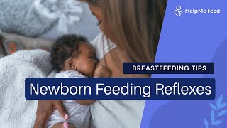 Breastfeeding Tips Newborn Feeding Reflexes [upl. by Peh]