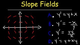 Slope Fields  Calculus [upl. by Ehsrop]