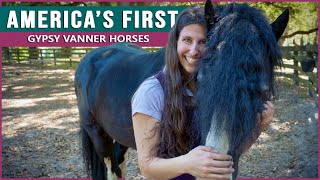 Riding the Gypsy Vanner at Gypsy Gold Horse Farm [upl. by Desberg456]