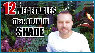 12 Vegetables That Grow in Shade [upl. by Ynohtnaeoj]