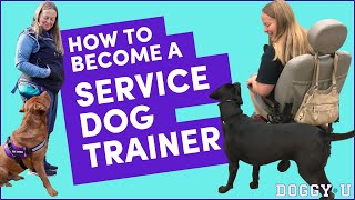 How To Become A SERVICE DOG TRAINER My Process and Tips [upl. by Borroff467]