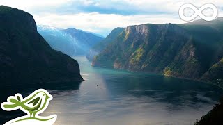 Beautiful Relaxing Music • Norwegian Nature amp Violin Flute Piano amp Harp Music [upl. by Attelra269]