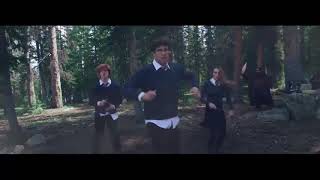 FUNK HARRY POTTER  CLIPE [upl. by Skell]